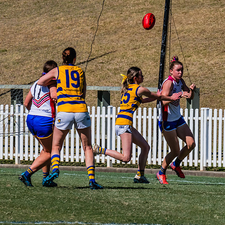 WPD Elimination Final - Macquarie Uni v Sydney Uni - 20 August 2