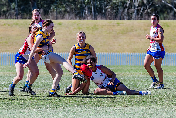 WPD Elimination Final - Macquarie Uni v Sydney Uni - 20 August 2