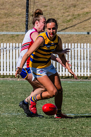 WPD Elimination Final - Macquarie Uni v Sydney Uni - 20 August 2