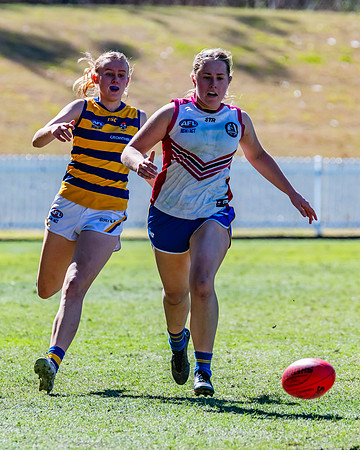 WPD Elimination Final - Macquarie Uni v Sydney Uni - 20 August 2