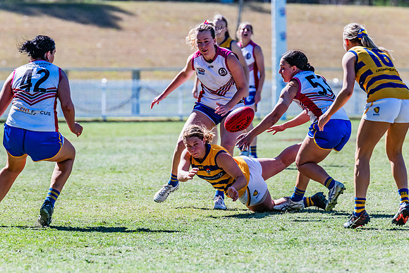 WPD Elimination Final - Macquarie Uni v Sydney Uni - 20 August 2