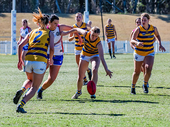 WPD Elimination Final - Macquarie Uni v Sydney Uni - 20 August 2
