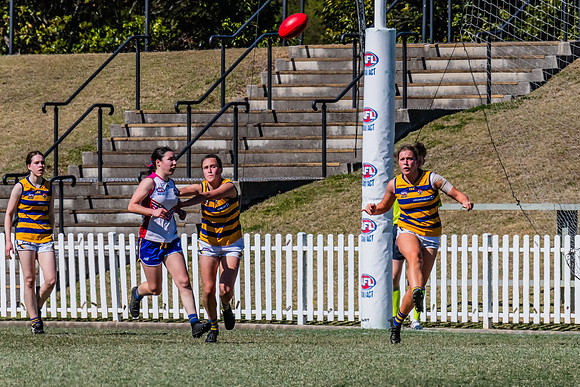 WPD Elimination Final - Macquarie Uni v Sydney Uni - 20 August 2