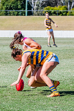 WPD Elimination Final - Macquarie Uni v Sydney Uni - 20 August 2