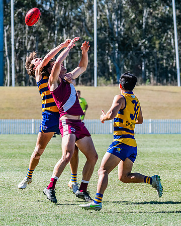 MPD Elimination Final - Sydney Uni v Manly-Warringah - 20 August