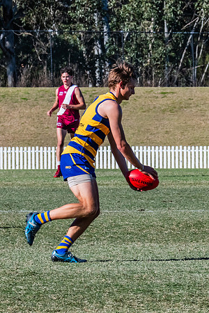 MPD Elimination Final - Sydney Uni v Manly-Warringah - 20 August