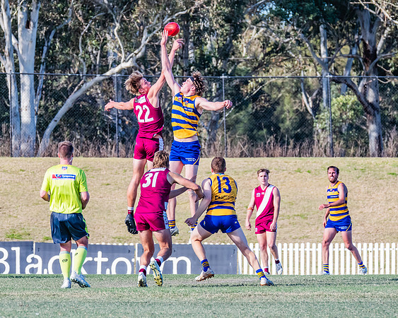 MPD Elimination Final - Sydney Uni v Manly-Warringah - 20 August