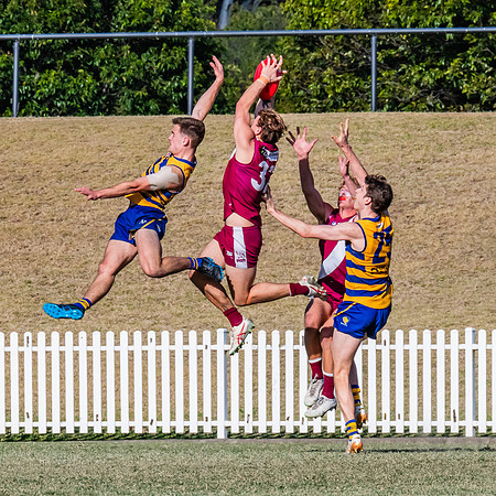 MPD Elimination Final - Sydney Uni v Manly-Warringah - 20 August