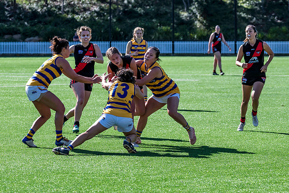 Rd 3 WPD - North Shore v Sydney Uni - 23 April 2022