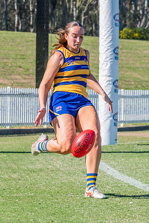 WPD Elimination Final - North Shore v Sydney Uni - 1 September 2