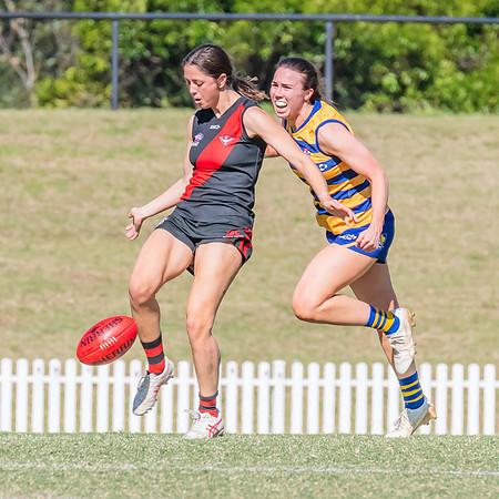 WPD Elimination Final - North Shore v Sydney Uni - 1 September 2