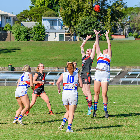 Rd 6 WPD - UNSW ES v North Shore - 14 May 2022