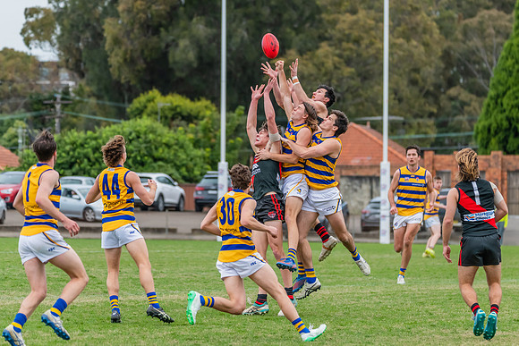MPD Qualifying Final - North Shore v Sydney University - 20 Augu