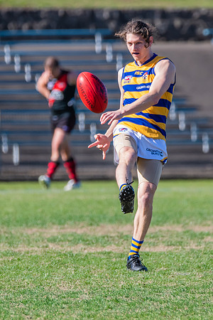 Men's Div 1 - Qualifying Final - North Shore v Sydney University