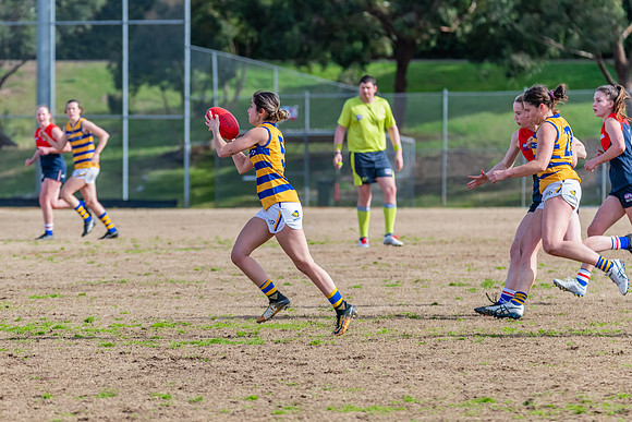 Rd 14 WPD - Pennant Hills v Sydney Uni - 16 July 2022