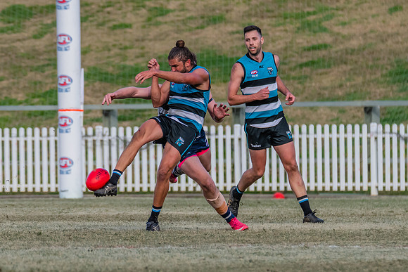 Platinum Div Preliminary Final - Southern Power v Camden Cats -