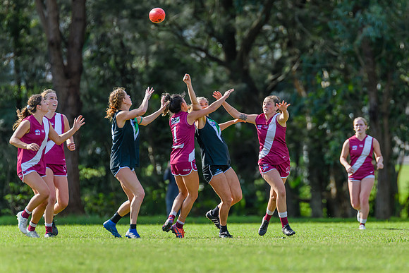 Rd 5 WPD - Manly Warringah v UTS - 7 May 2022