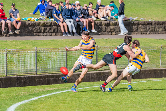MPD Qualifying Final - North Shore v Sydney University - 20 Augu