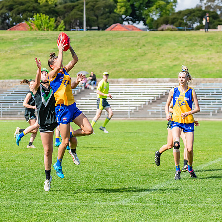 WPD Second Semi-Final - UTS v East Coast - 26 August 2023