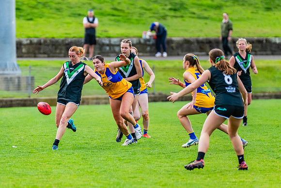 WPD Second Semi-Final - UTS v East Coast - 26 August 2023