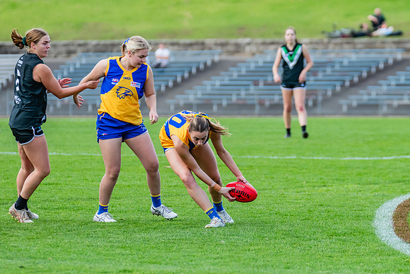 WPD Second Semi-Final - UTS v East Coast - 26 August 2023