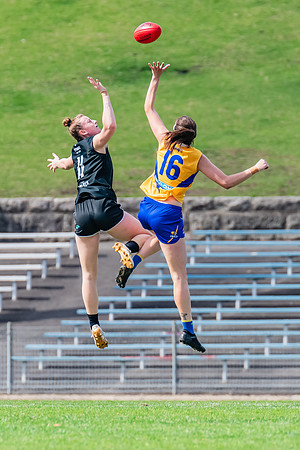 WPD Second Semi-Final - UTS v East Coast - 26 August 2023