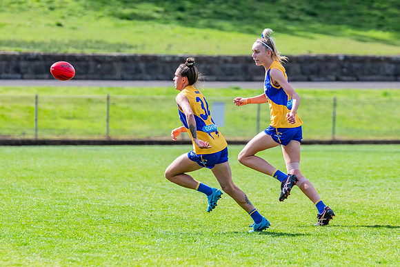 WPD Second Semi-Final - UTS v East Coast - 26 August 2023