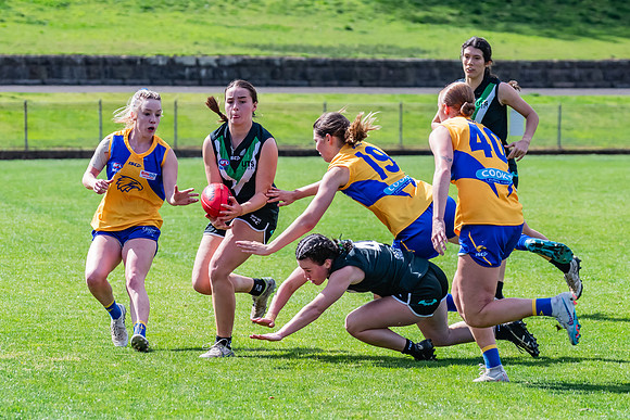 WPD Second Semi-Final - UTS v East Coast - 26 August 2023