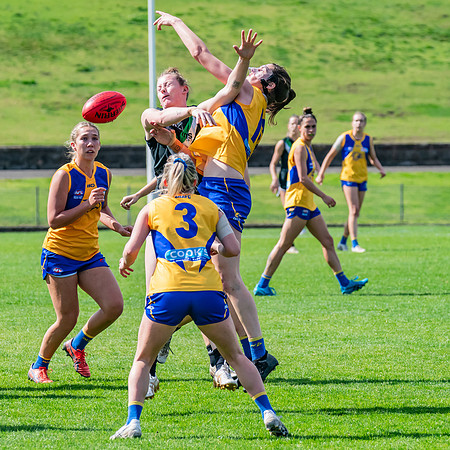 WPD Second Semi-Final - UTS v East Coast - 26 August 2023