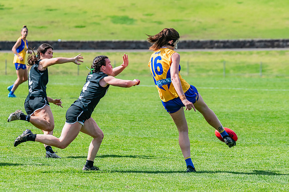 WPD Second Semi-Final - UTS v East Coast - 26 August 2023