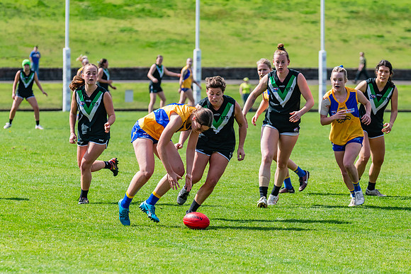 WPD Second Semi-Final - UTS v East Coast - 26 August 2023