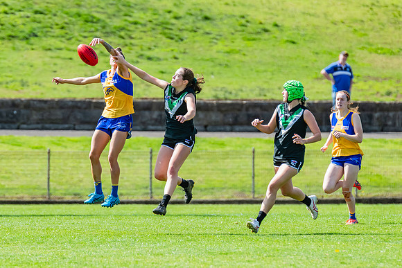 WPD Second Semi-Final - UTS v East Coast - 26 August 2023
