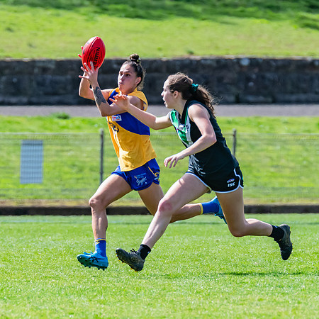 WPD Second Semi-Final - UTS v East Coast - 26 August 2023