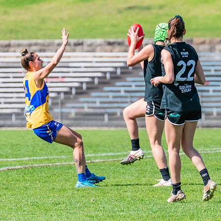 WPD Second Semi-Final - UTS v East Coast - 26 August 2023