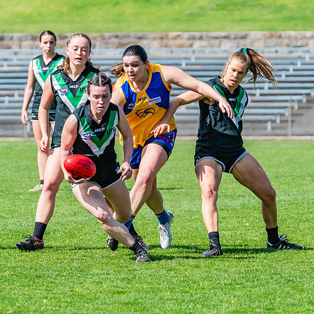 WPD Second Semi-Final - UTS v East Coast - 26 August 2023