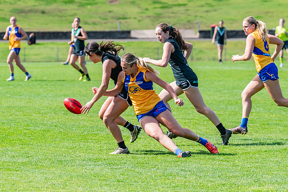 WPD Second Semi-Final - UTS v East Coast - 26 August 2023