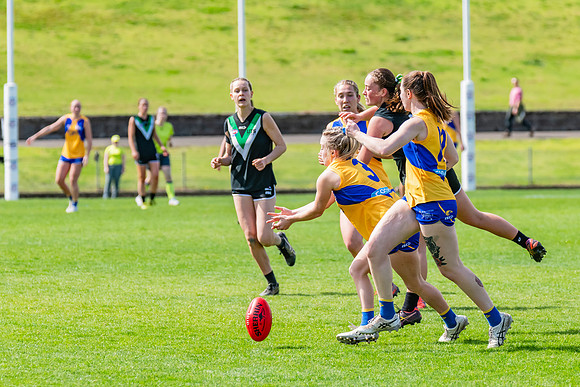 WPD Second Semi-Final - UTS v East Coast - 26 August 2023