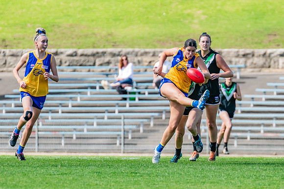 WPD Second Semi-Final - UTS v East Coast - 26 August 2023