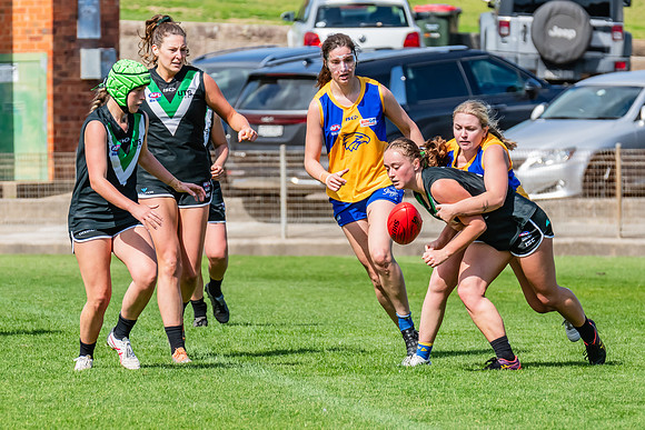 WPD Second Semi-Final - UTS v East Coast - 26 August 2023
