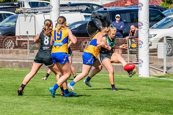 WPD Second Semi-Final - UTS v East Coast - 26 August 2023