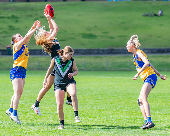 WPD Second Semi-Final - UTS v East Coast - 26 August 2023