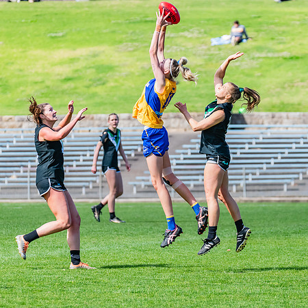 WPD Second Semi-Final - UTS v East Coast - 26 August 2023