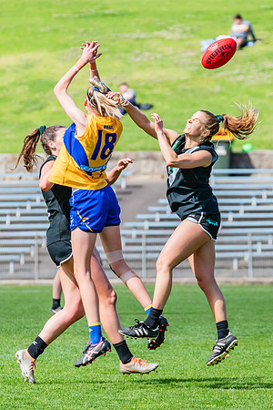 WPD Second Semi-Final - UTS v East Coast - 26 August 2023