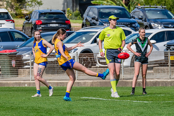 WPD Second Semi-Final - UTS v East Coast - 26 August 2023