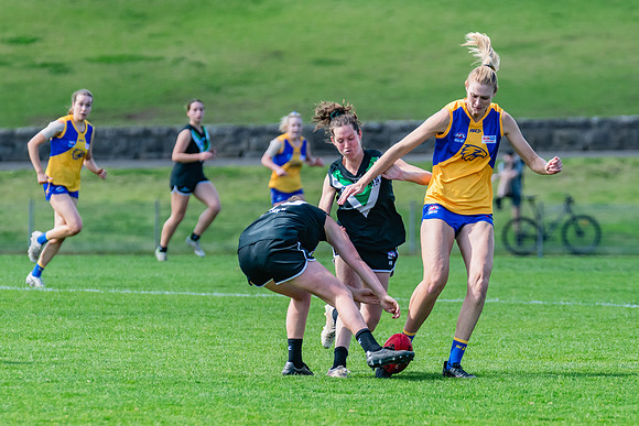 WPD Second Semi-Final - UTS v East Coast - 26 August 2023