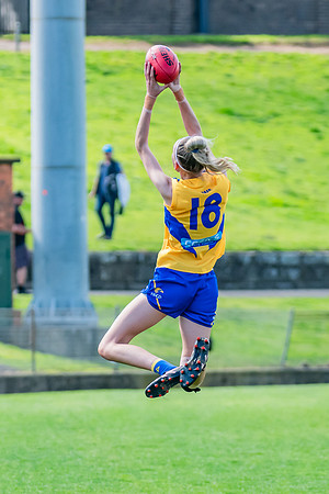 WPD Second Semi-Final - UTS v East Coast - 26 August 2023