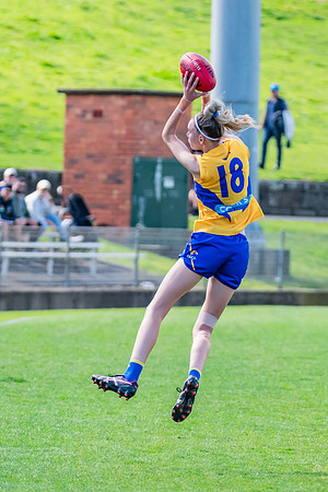 WPD Second Semi-Final - UTS v East Coast - 26 August 2023