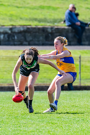 WPD Second Semi-Final - UTS v East Coast - 26 August 2023