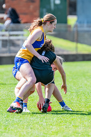 WPD Second Semi-Final - UTS v East Coast - 26 August 2023