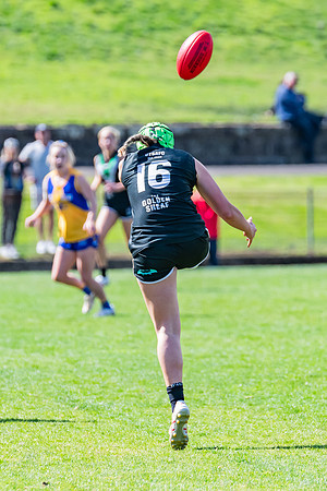 WPD Second Semi-Final - UTS v East Coast - 26 August 2023
